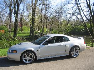 Mustang 2 016.jpg